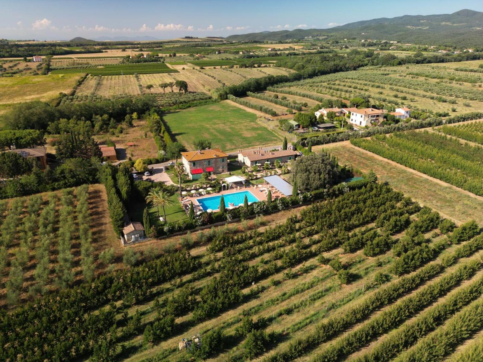 Podere Gli Olmi เชชินา ภายนอก รูปภาพ